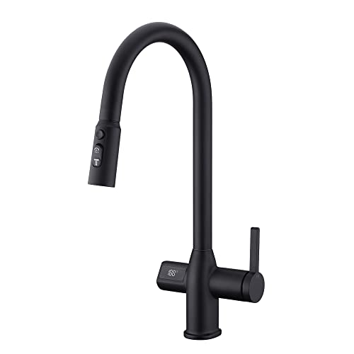 Leetcp LED Kitchen Faucet with Temperature Digital Display,Solid Brass Kitchen Sink Faucets with Pull Down Sprayer and 3 Modes,360 Rotatable Pull Down Kitchen Faucet,Matte Black