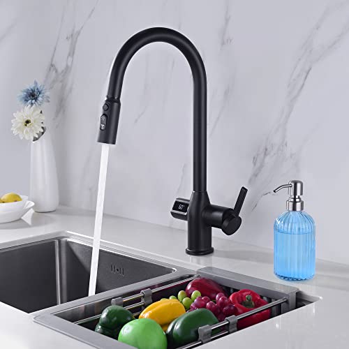 Leetcp LED Kitchen Faucet with Temperature Digital Display,Solid Brass Kitchen Sink Faucets with Pull Down Sprayer and 3 Modes,360 Rotatable Pull Down Kitchen Faucet,Matte Black