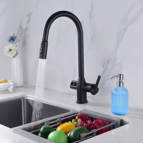 Leetcp LED Kitchen Faucet with Temperature Digital Display,Solid Brass Kitchen Sink Faucets with Pull Down Sprayer and 3 Modes,360 Rotatable Pull Down Kitchen Faucet,Matte Black