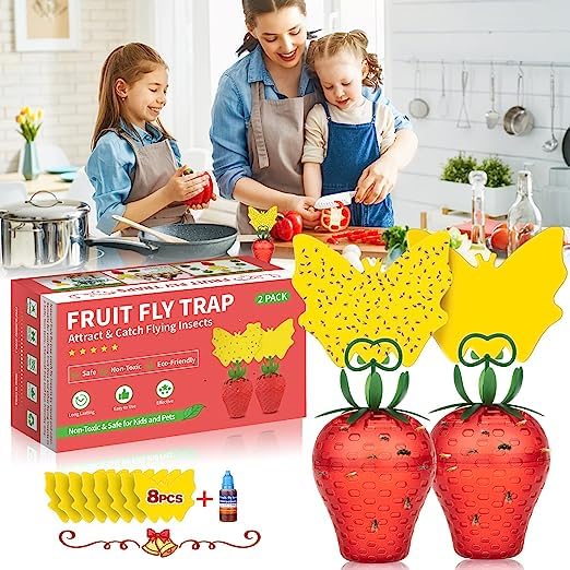 Fruit Fly Traps for Indoors,Effective Fly Catcher Gnat Traps for House with Yellow Sticky Traps,Fruit Fly Trap with Sticker with Bait Safe Non-Toxic Reusable Fly Trap for Home, Plant, Kitchen