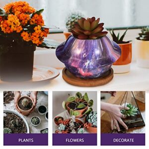 GANAZONO Home Decor 1 Set of Planet Planter Pot with Drainage Holes Ceramic Succulent Pot Flower Container Bonsai Pot Flowerpot for Home Garden Office Indoor Outdoor Outdoor Decor