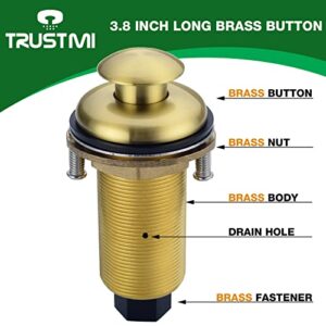 TRUSTMI Garbage Disposal Air Switch Kit Long Brass Kitchen Sink Top Waste Disposer On/Off Button with Dual Outlet Socket Power Module, Brushed Gold