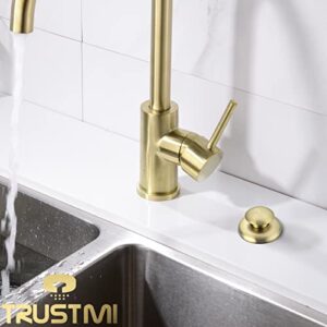 TRUSTMI Garbage Disposal Air Switch Kit Long Brass Kitchen Sink Top Waste Disposer On/Off Button with Dual Outlet Socket Power Module, Brushed Gold