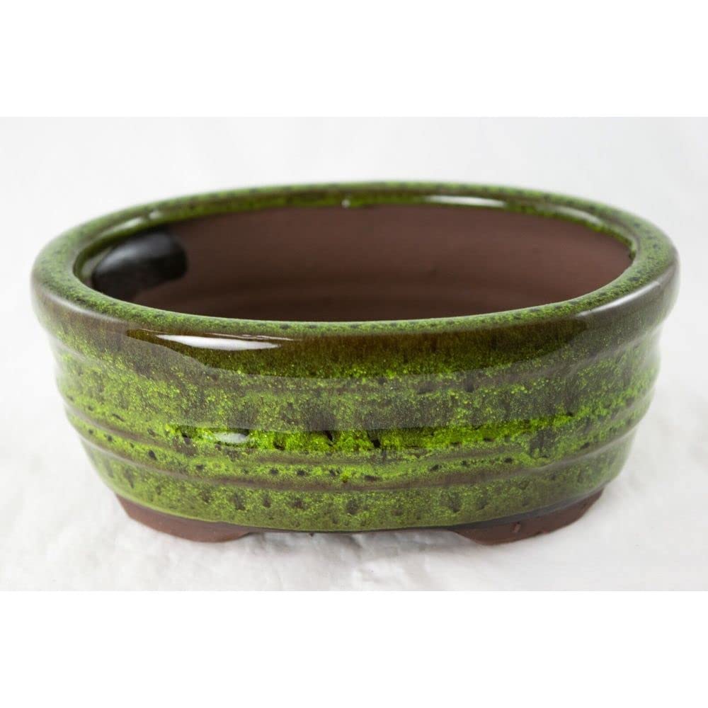 1 Pcs Oval Glazed Succulent, Bonsai Pot With Mesh & Wire 6"x 4.5"x 2.5" - Moss Green