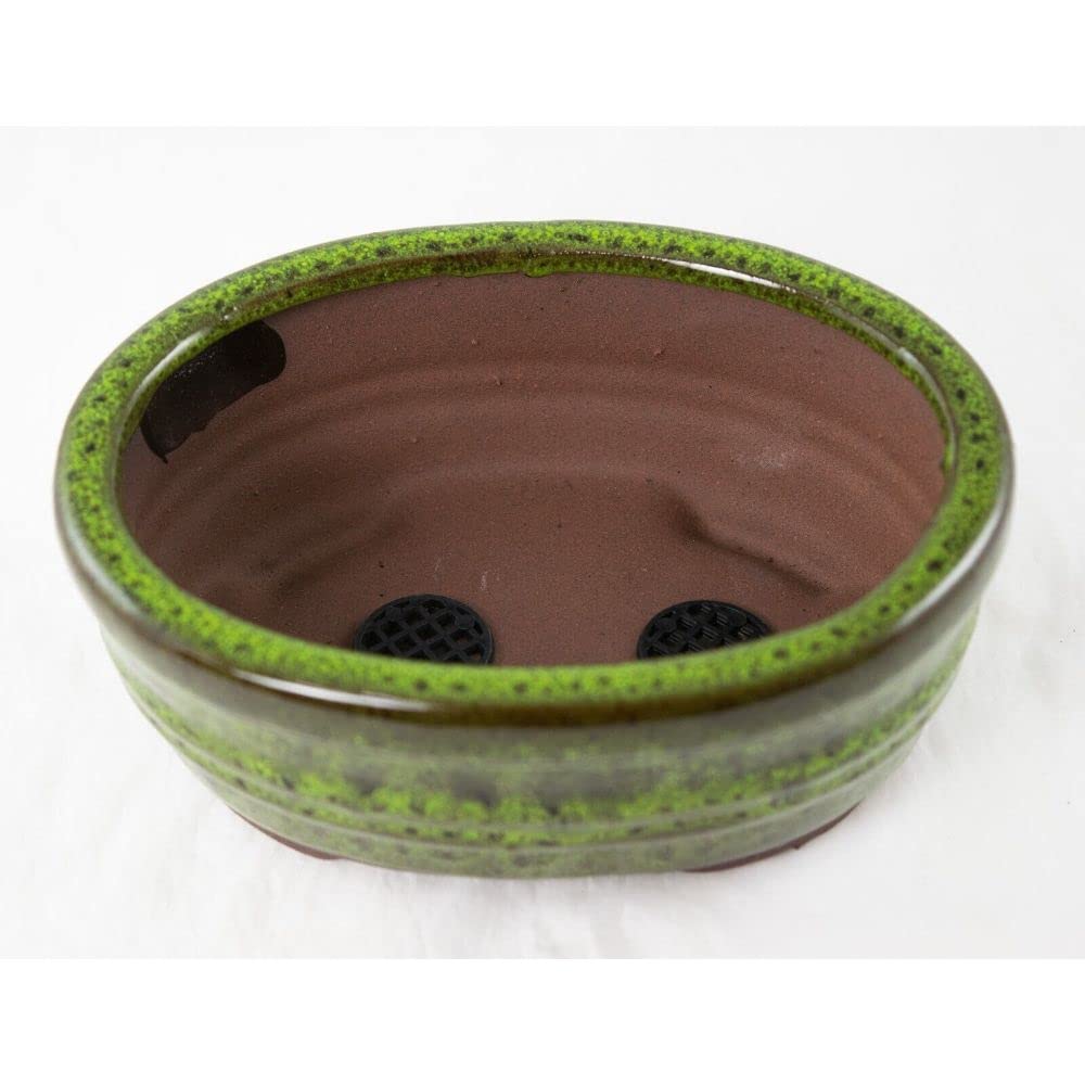 1 Pcs Oval Glazed Succulent, Bonsai Pot With Mesh & Wire 6"x 4.5"x 2.5" - Moss Green