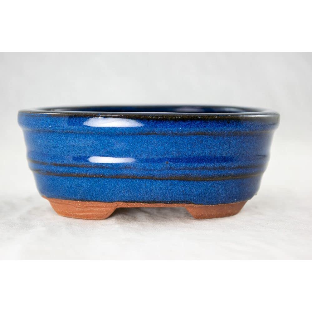 1 Pcs Oval Mame Shohin Bonsai / Succulent Pot + Mesh 5"x 4"x 2" - Blue Stain Glazed