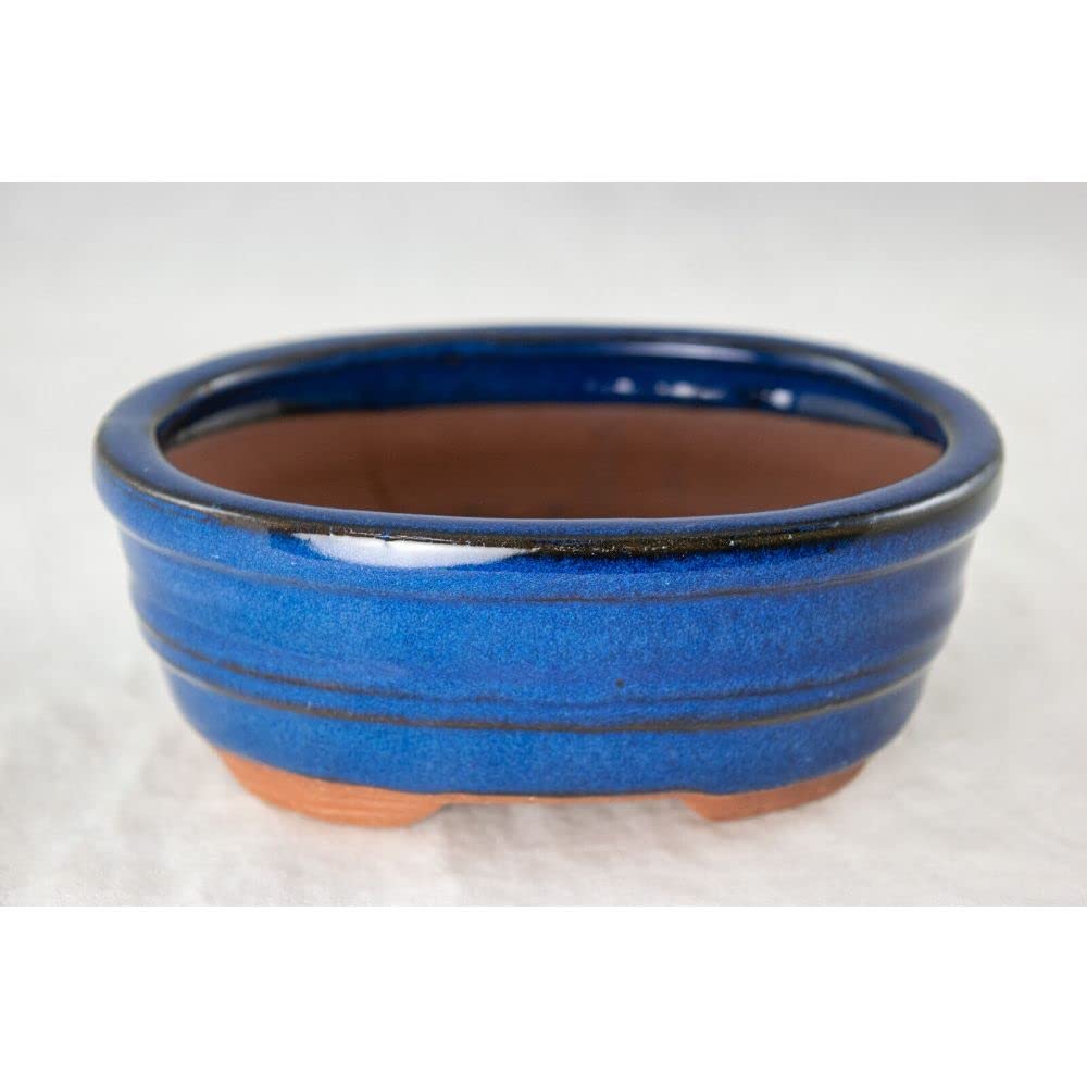 1 Pcs Oval Mame Shohin Bonsai / Succulent Pot + Mesh 5"x 4"x 2" - Blue Stain Glazed