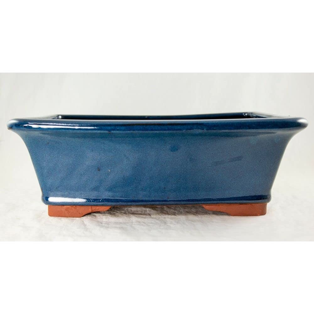 1 Pcs Rectangular Bonsai / Cactus & Succulent Pot + Mesh 12"x 9"x 4" - Dark Blue