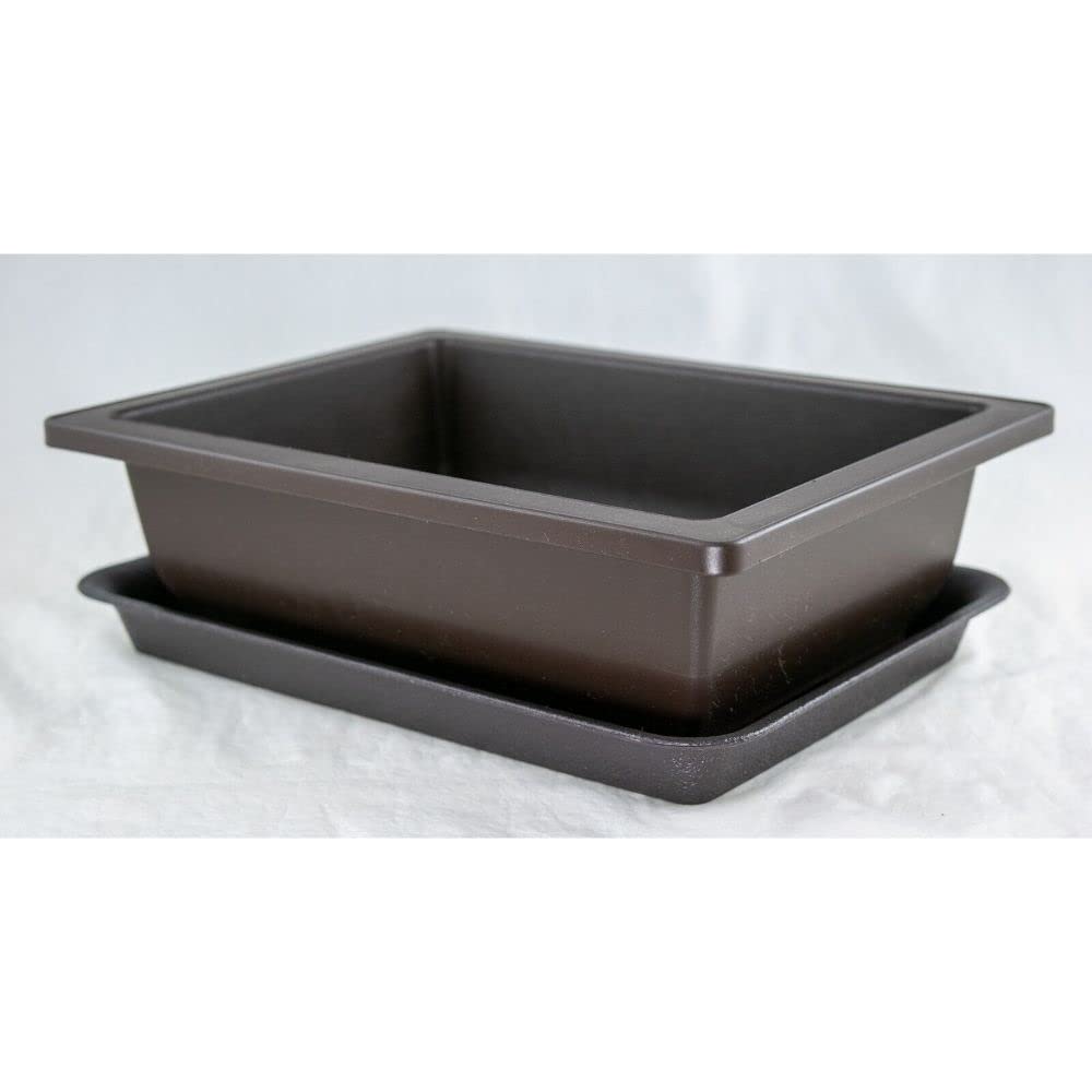 1 Pcs Rectangular Plastic Bonsai Training Pot + Tray Set 10"x 7.5"x 3" - Dark Brown