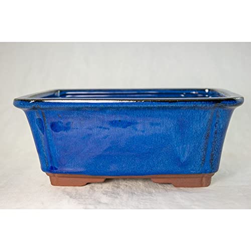 1 Pcs 8.25" Rectangular Dark Blue Bonsai / Succulent Pot + Tray + Rock + Mesh Combo