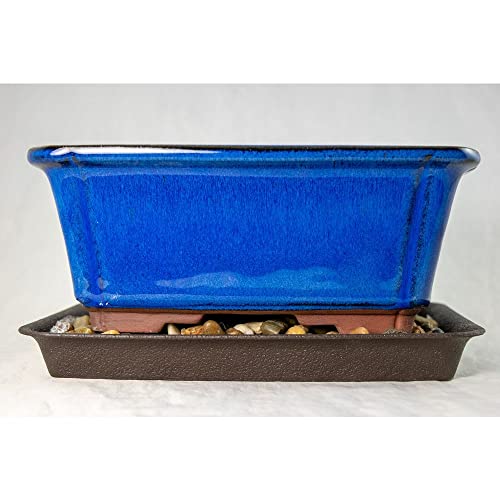 1 Pcs 8.25" Rectangular Dark Blue Bonsai / Succulent Pot + Tray + Rock + Mesh Combo