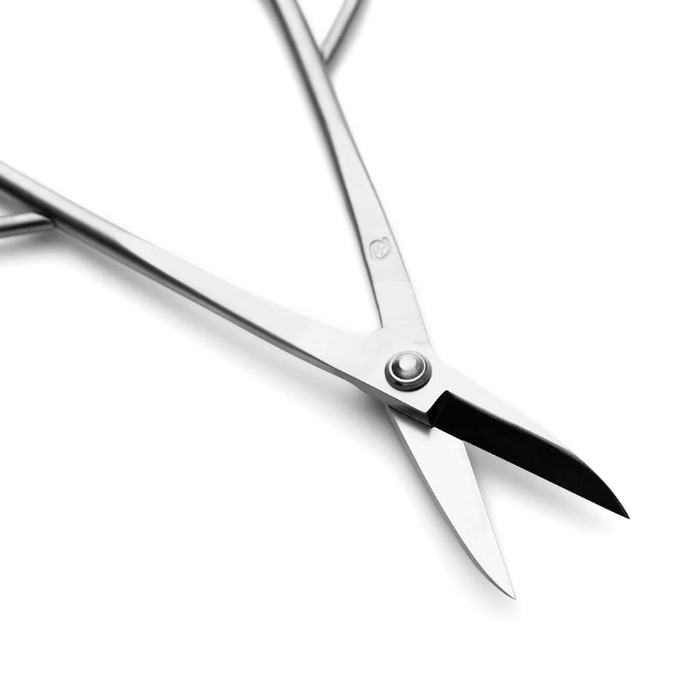 TianBonsai Bonsai Scissors Bonsai Tools (T 180 scissors)