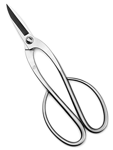 TianBonsai Bonsai Scissors Bonsai Tools (T 200 pruning scissors)