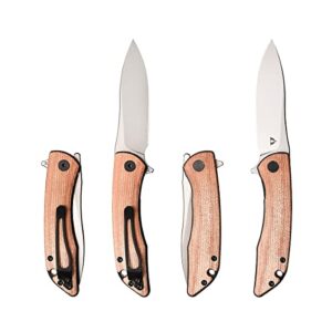 CMB Made Knives 3"Blaze Black D2 Liner Lock Flipper Folding Pocket Knife Green Micarta Handle Camping EDC CMB-06B (Natural)