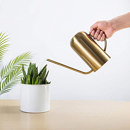 LIYJTK Stainless Steel Long Spout Watering Can Garden Watering Pot Irrigation Tool Bonsai Plants Garden Pot Flower Watering Can Irrigation Tool(Gold 1.5L)