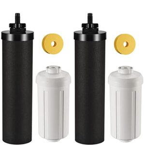 water filter replacement water filtration system, fluoride filters 2 pack and black filters 2 pack