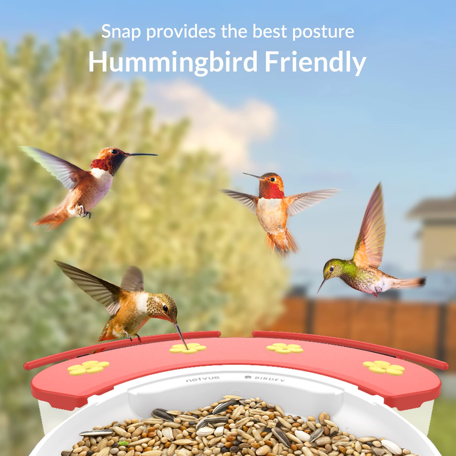 NETVUE Birdfy Hummee - Hummingbird Feeder Perch, Compatible with Birdfy, Attract Hummingbirds, 18.3 oz Capacity, 2 in 1 Bird Feeder, Ideal Gift for Hummingbird Lovers (A Feeder)