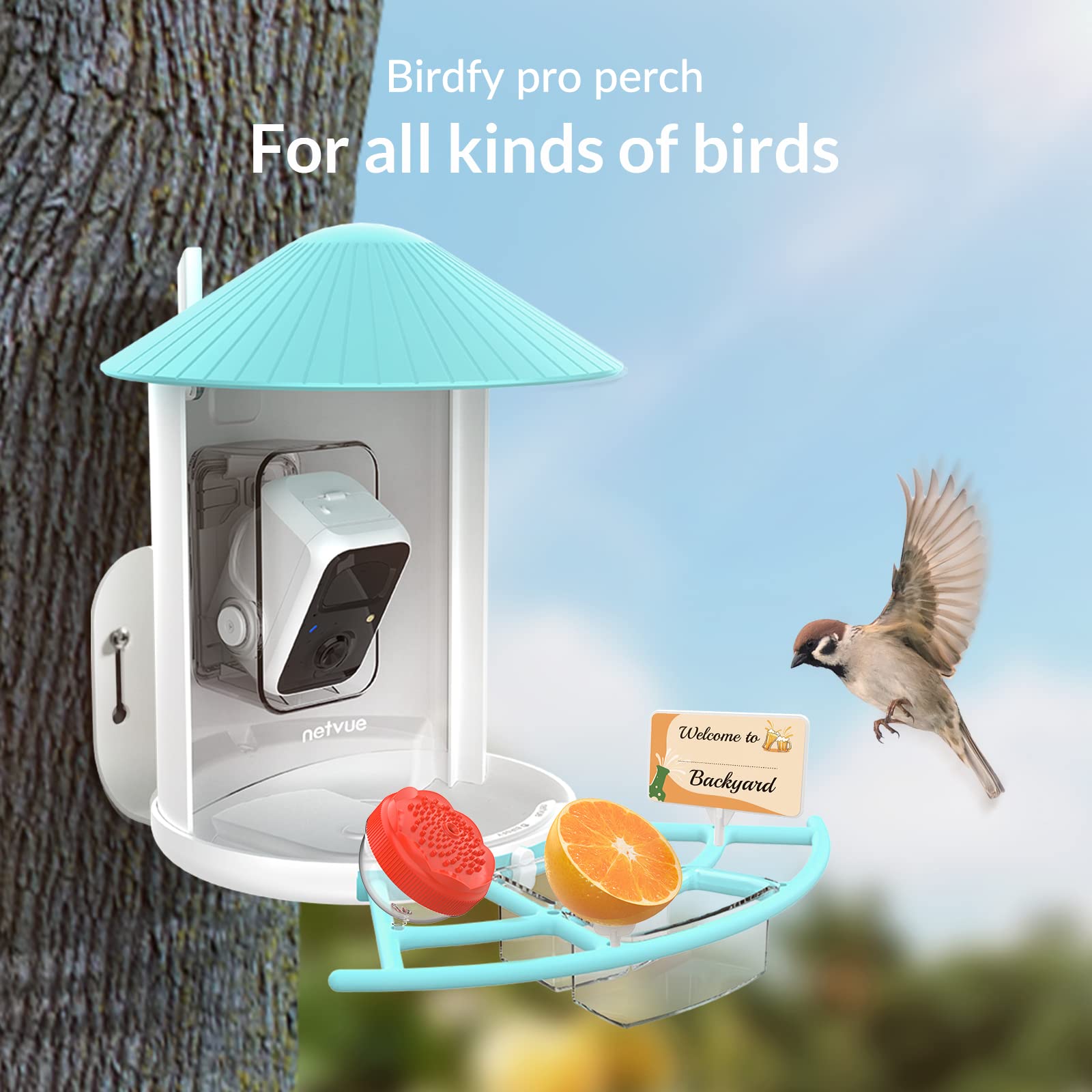 NETVUE Birdfy Pro Perch - Wider Extension Perch to DIY Add-ons Including Suet Ball, Mini Hummingbird Feeder, Fruit Holder, Jelly Feeder and Welcome Card, Ideal for Bird Lover