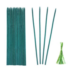 green bamboo plant stakes, plant sticks support for indoor and outdoor plants, garden wood sturdy bamboo sticks, floral plant support stakes for garden plants 25 pack（15 inches）