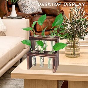 HURZMORO Double Layer Propagation Stations Plant Terrarium with Wooden Stand - 6 Glass Test Tube for Hydroponics Air Plants Indoor House Garden Office Desktop Wall Hanging Decor