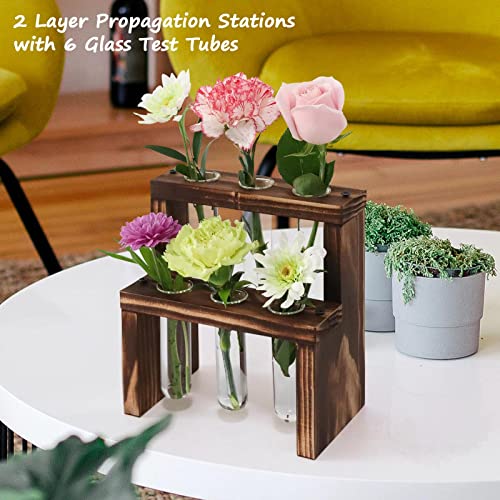 HURZMORO Double Layer Propagation Stations Plant Terrarium with Wooden Stand - 6 Glass Test Tube for Hydroponics Air Plants Indoor House Garden Office Desktop Wall Hanging Decor