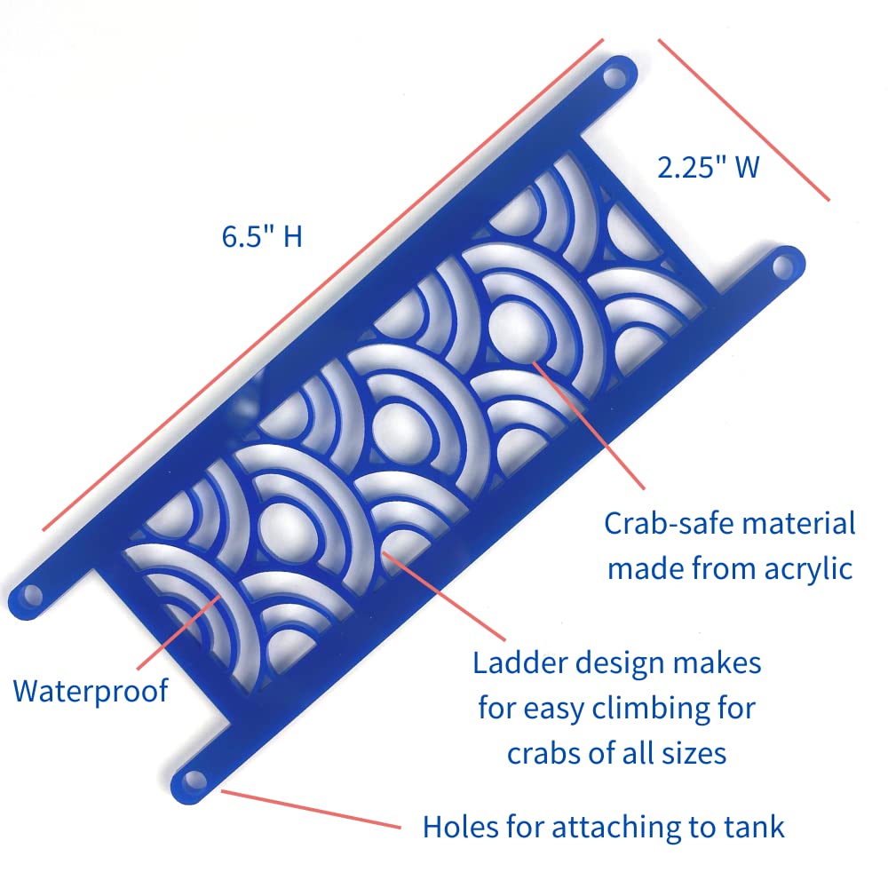 Snout and Shell - Hermit Crab Crabitat Pool Ladders - 2 Pack Acrylic Arches Ladder Blue