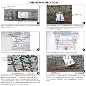 Humane Catch and Release Live Animal Trap Cage Cat Trap for Raccoons Groundhogs Mouse Squirrel Traps 24 Inch Steel Outdoor Small Animal Trap No-Kill Trapping Kit Collapsible & Easy to Use