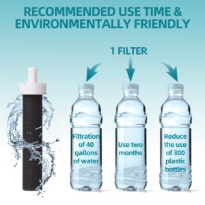 Water Bottle Straw, Water Bottle Filter for Brita, Replacement Parts for Brita Insulated Filtered Stainless Steel and Plastic Water Filter Bottle, Water Filter Straw with 4Pcs Water Bottle Filters.