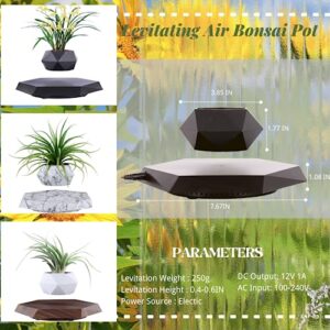 MOOCCI Floating Plant Pot Magnetic Levitating Plant Pot for Succulents, Air Bonsai and Fake Flowers and Plants, Unique Decor for Home, Office and Desk (Brown)