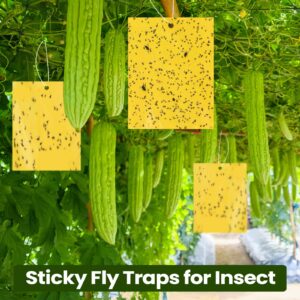 500 Pcs Double Sided Sticky Traps for Flying Plant Insect Like White Flies Aphids 6 x 8 Inch Sticky Gnat Traps Killer Fruit Fly Traps for Indoor Outdoor Including Twist Ties, Yellow