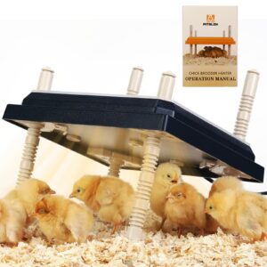 pitalok brooder heater for chicks: chick brooder heating plate with easy- cleaning plate poultry coop heater chicks warmer 10" x 10" for 15 chicks adjustable height brooding heater 15 watts