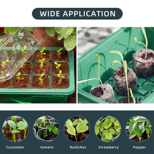 ANTUGLBAR Seed Starter Tray with Grow Light 5 Packs Seedling Starter Trays with Smart Controller Timer, Dimmable, Seed Starting Trays Kit High Humidity Dome Indoor Gardening Plant Germination Trays