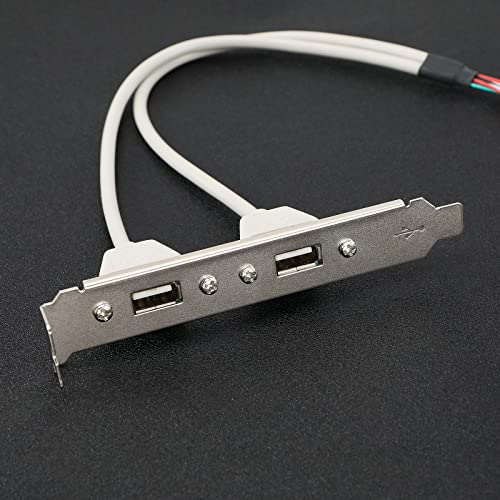 The Lord of the Tools 2Pcs 2 Port USB A Female Slot Plate Adapter 2 Port USB 2.0 Rear Panel Expansion Bracket to 9 Pin USB Cable Host Adapter 30cm PVC