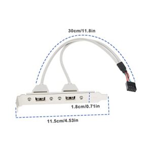 The Lord of the Tools 2Pcs 2 Port USB A Female Slot Plate Adapter 2 Port USB 2.0 Rear Panel Expansion Bracket to 9 Pin USB Cable Host Adapter 30cm PVC