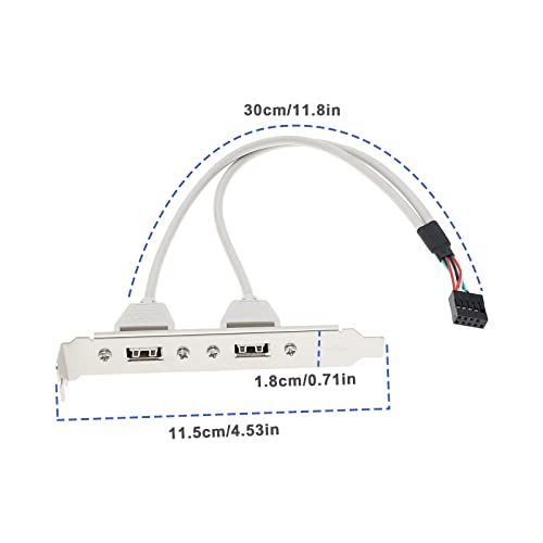 The Lord of the Tools 2Pcs 2 Port USB A Female Slot Plate Adapter 2 Port USB 2.0 Rear Panel Expansion Bracket to 9 Pin USB Cable Host Adapter 30cm PVC