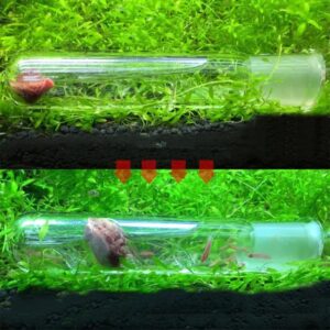 Planaria Trap Leech & Flatworm Trap/Catcher for Shrimp Tank or Aquarium by Awesome Aquatic (Combo 1 ea Glass 3 / Plastic 8 Hole)