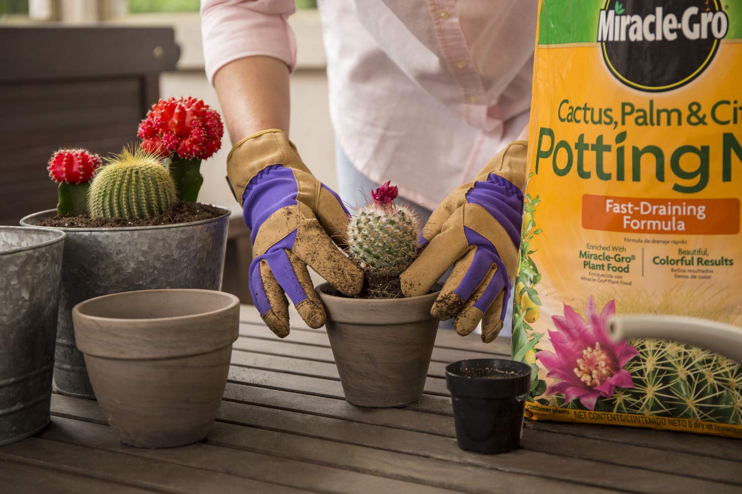 Miracle-Gro Cactus, Palm & Citrus Potting Mix, 8 qt. (3-Pack)