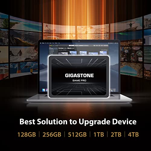 Gigastone Game Pro 2-Pack 256GB SSD SATA III 6Gb/s. 3D NAND 2.5" Internal Solid State Drive, Read up to 510MB/s. Compatible with PS4, PC, Desktop and Laptop, 2.5 inch 7mm (0.28”)