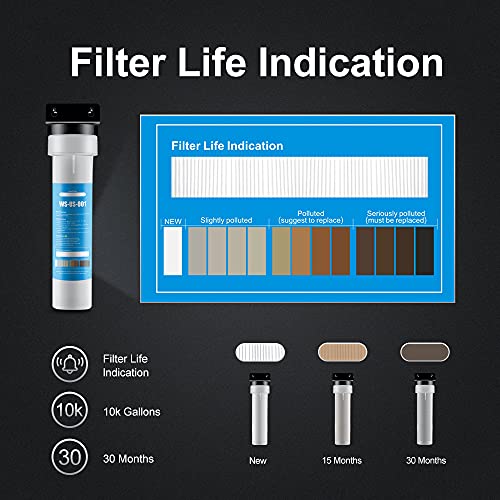 Wingsol Jumbo Under Sink Water Filter Replacement, Reduce 99.99% Lead, Arsenic, Chlorine, Remineralize & Alkalize Water, 10K Gallons Long-lasting, 5-in-1, Compatible with WS-US-001 Jumbo advanced (F)