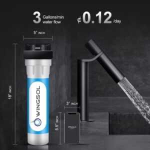 Wingsol Jumbo Under Sink Water Filter Replacement, Reduce 99.99% Lead, Arsenic, Chlorine, Remineralize & Alkalize Water, 10K Gallons Long-lasting, 5-in-1, Compatible with WS-US-001 Jumbo advanced (F)