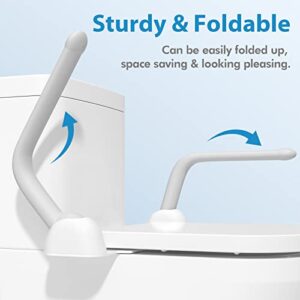 DAILYLIFE Toilet Safety Rail, Heavy Duty (480 LB) Armrest Hand Rail, Can be Folded Up, Aluminum Alloy Support for Elderly Senior Handicap Pregnant