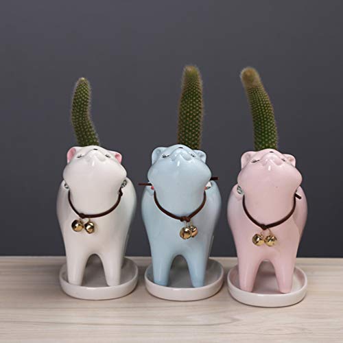 Vaguelly Succulent Pots Ceramic Planter Cat Ceramic Flowerpot Ceramics Plant Decorations Succulents Flower Pot Ceramic Succulent Planter Pots