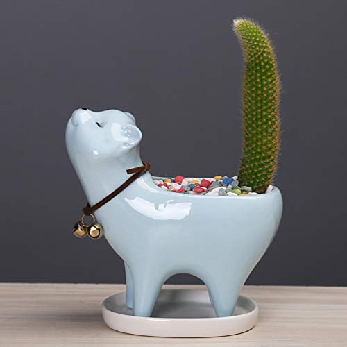 Vaguelly Succulent Pots Ceramic Planter Cat Ceramic Flowerpot Ceramics Plant Decorations Succulents Flower Pot Ceramic Succulent Planter Pots