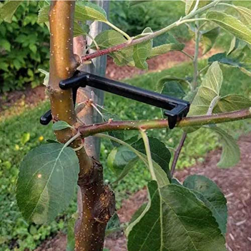 Angoily 20 Pcs Branch Press Bondai Tree Support Plant Stem Training Clips Trees Plants Branch Bend Plants Training Tools Plants Modelling Clips Branch and Limb Spreaders Bonsai Fixture