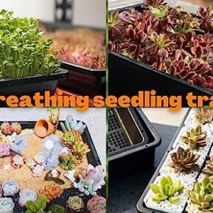 BeGrit Seed Starter Trays 5-Pack 15x12 inch Mesh Tray Plastic Plant Trays Garden Seedling Starter Kit Bonsai Training Pots Succulent Transport Pots with 5 Bases