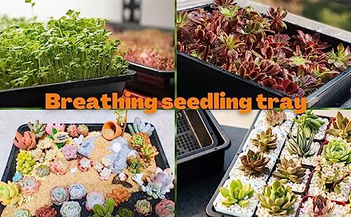 BeGrit Seed Starter Trays 5-Pack 15x12 inch Mesh Tray Plastic Plant Trays Garden Seedling Starter Kit Bonsai Training Pots Succulent Transport Pots with 5 Bases
