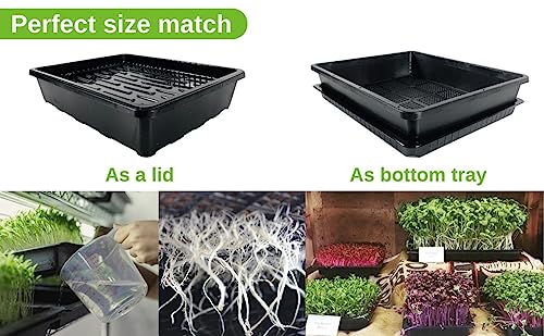 BeGrit Seed Starter Trays 5-Pack 15x12 inch Mesh Tray Plastic Plant Trays Garden Seedling Starter Kit Bonsai Training Pots Succulent Transport Pots with 5 Bases