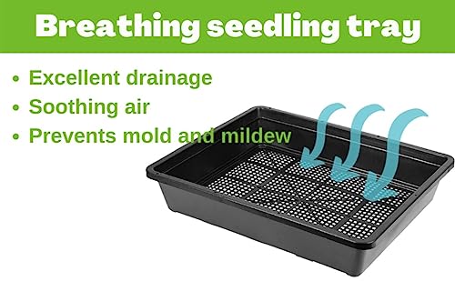 BeGrit Seed Starter Trays 5-Pack 15x12 inch Mesh Tray Plastic Plant Trays Garden Seedling Starter Kit Bonsai Training Pots Succulent Transport Pots with 5 Bases