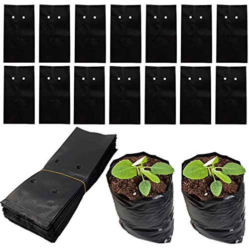 DredQcco 100PACK Plant Grow Bags,Thicken PE Seedling Bag Fruit Tree Seedling Cup Bonsai Planting Bag with Breathable Holes for Garden Black Planting Bags Nursery Bags (5.9'' Dia x 10'' H)