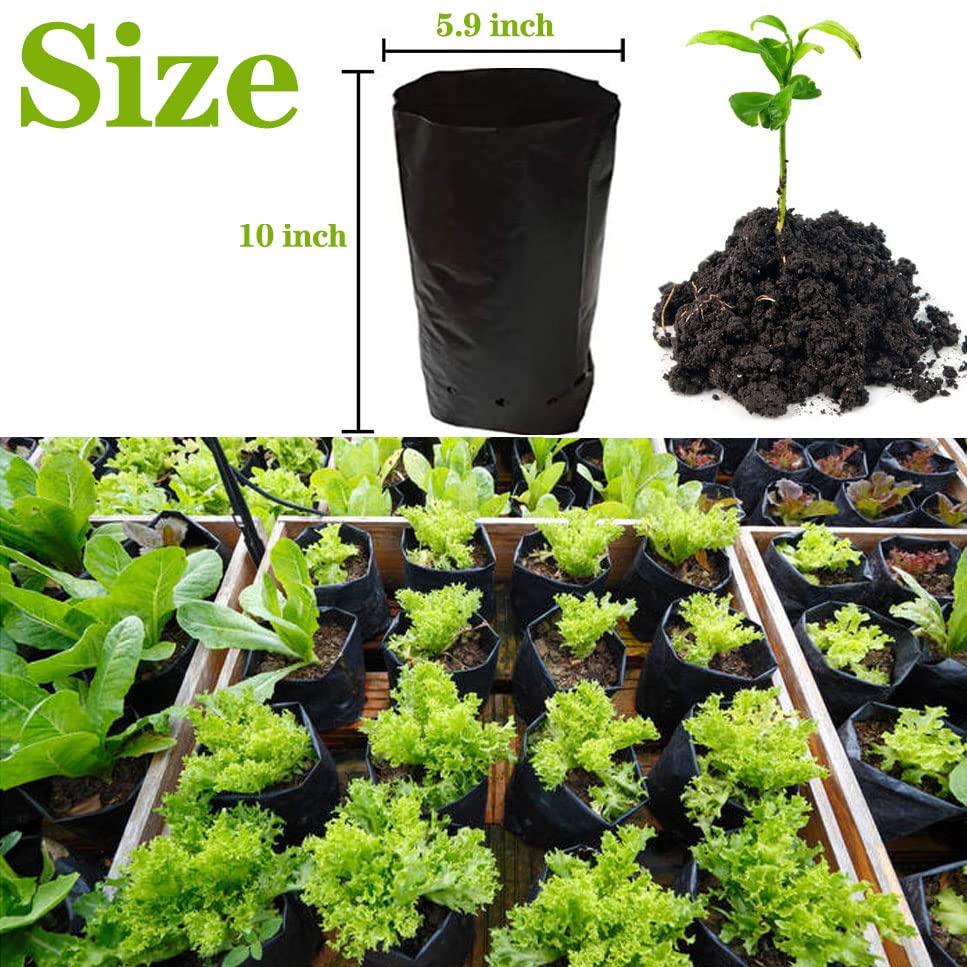 DredQcco 100PACK Plant Grow Bags,Thicken PE Seedling Bag Fruit Tree Seedling Cup Bonsai Planting Bag with Breathable Holes for Garden Black Planting Bags Nursery Bags (5.9'' Dia x 10'' H)